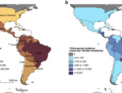 Chikungunya: una década de agobio en las Américas